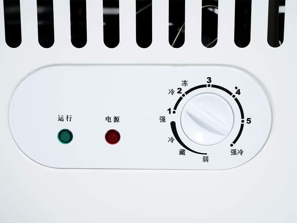 Curved Glass Freezer